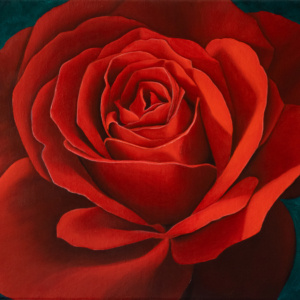 The Rose Oil Painting