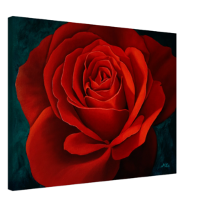 13dc2532-3d0d-4884-a514-66f7a8aa5007