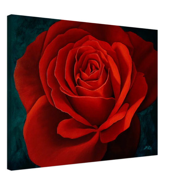 13dc2532-3d0d-4884-a514-66f7a8aa5007