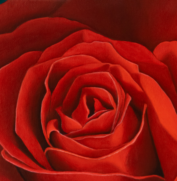 The Rose Oil Painting - Image 3