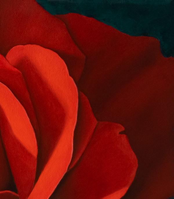 The Rose Oil Painting - Image 4